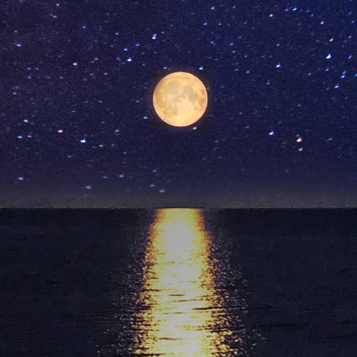 La nage des étoiles